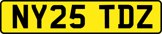 NY25TDZ