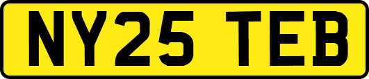 NY25TEB