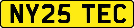 NY25TEC