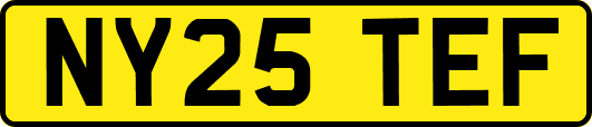 NY25TEF