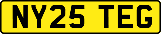 NY25TEG