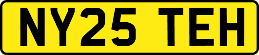 NY25TEH