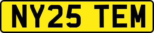 NY25TEM