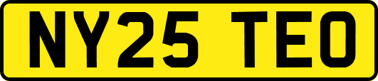 NY25TEO
