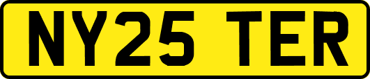 NY25TER