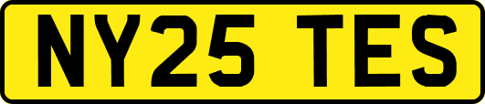NY25TES