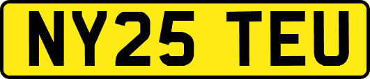 NY25TEU