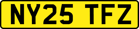 NY25TFZ