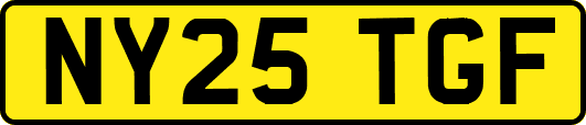 NY25TGF