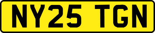 NY25TGN