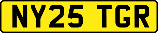NY25TGR