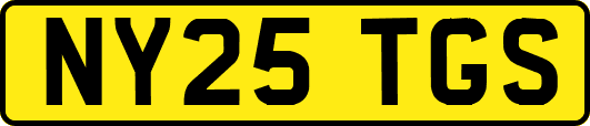 NY25TGS