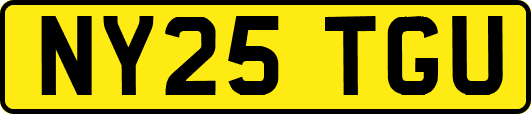 NY25TGU