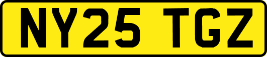 NY25TGZ