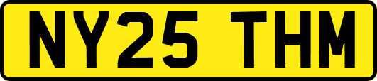 NY25THM