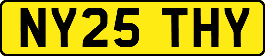 NY25THY