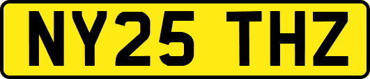 NY25THZ