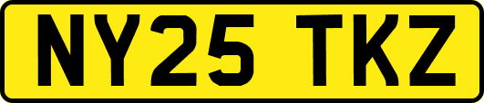 NY25TKZ