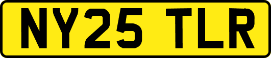 NY25TLR
