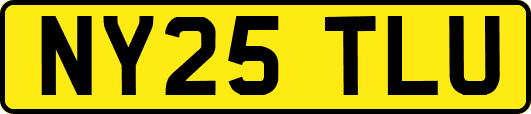 NY25TLU