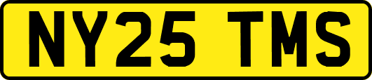 NY25TMS