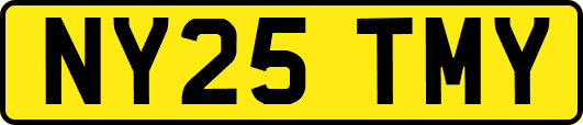 NY25TMY