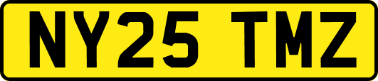 NY25TMZ