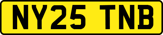 NY25TNB