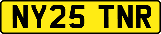NY25TNR