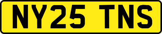 NY25TNS