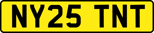 NY25TNT