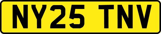 NY25TNV