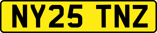 NY25TNZ