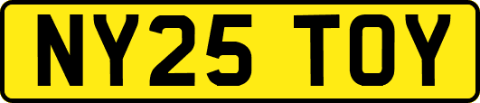 NY25TOY