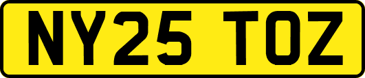 NY25TOZ