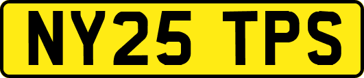NY25TPS