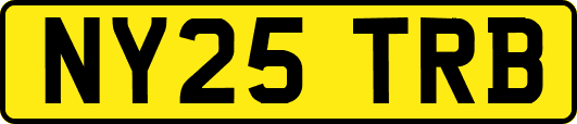 NY25TRB