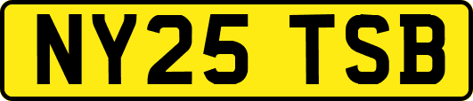 NY25TSB