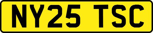 NY25TSC