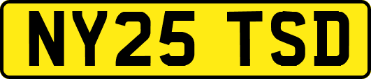 NY25TSD