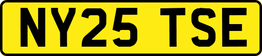 NY25TSE