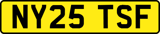 NY25TSF