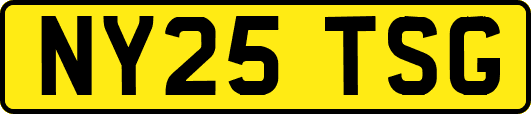 NY25TSG