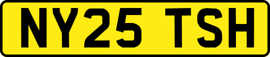 NY25TSH