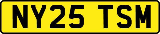 NY25TSM