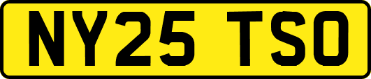 NY25TSO