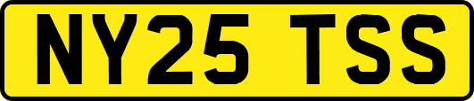 NY25TSS