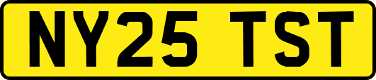 NY25TST