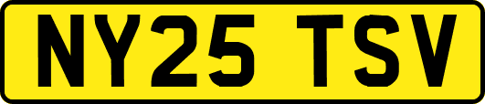 NY25TSV