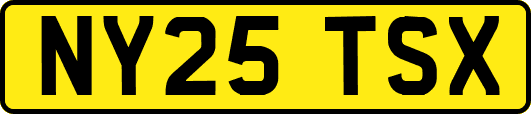 NY25TSX